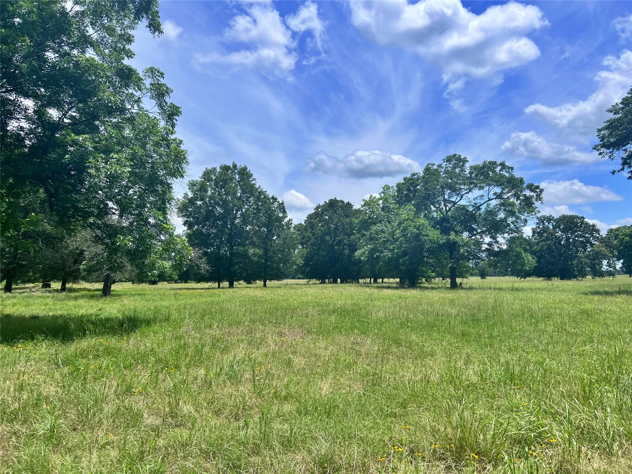 Ranch For Sale in Delta County , 695 County Road 1210, Lake Creek, Texas 75450, 0, 0, Garage spaces, 0 Sqft, built in 2000, Price $2,429,375, mls#21052676, Real Estate Agent in Lake Creek, Homes For Sale in Delta county, Homes For Sale in Lake Creek, Realtor in Lake Creek Texas, Real Estate Brokerage Independent Realty Texas, Luminita Cordes Realtor