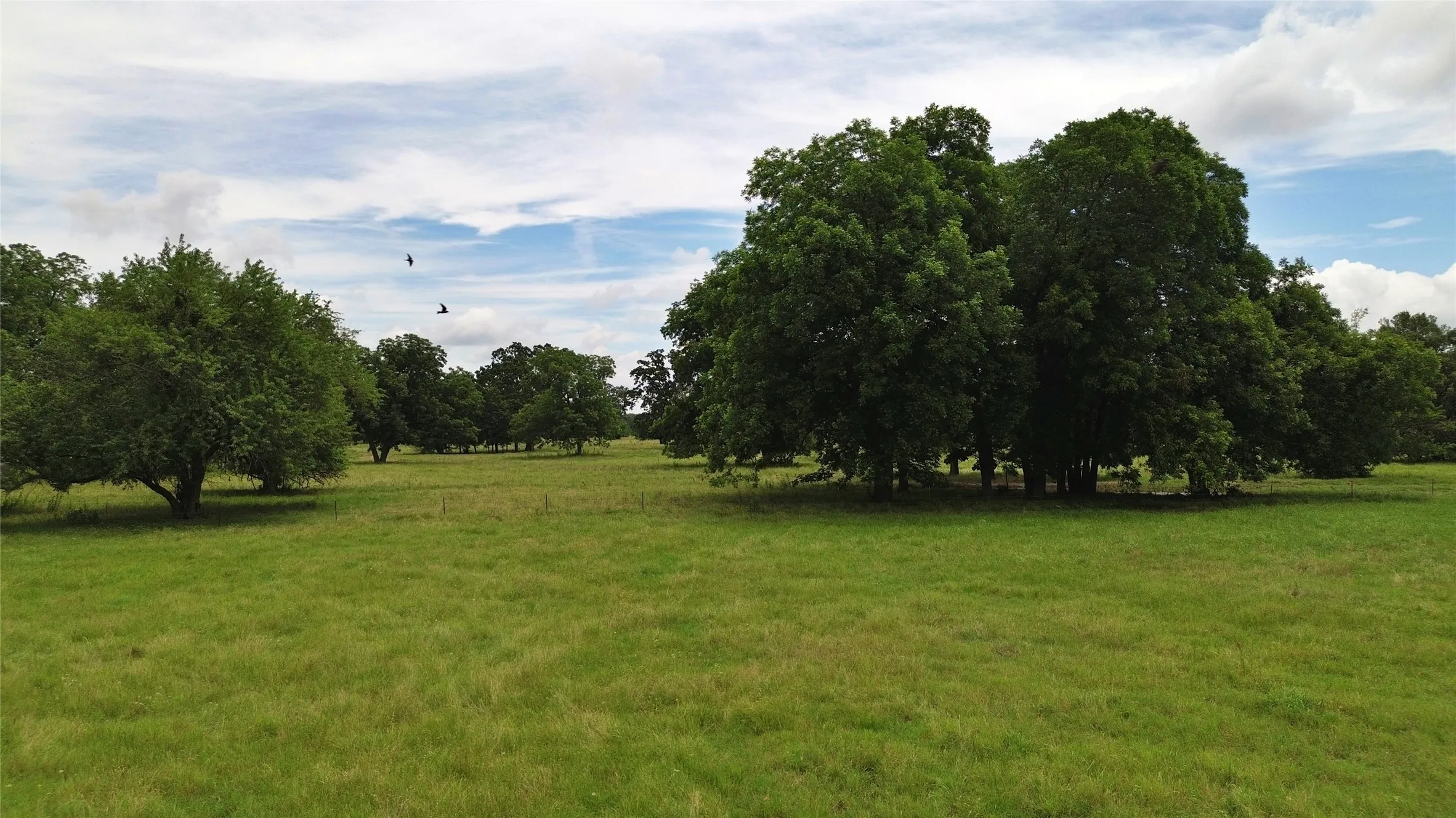 Ranch For Sale in Delta County , 695 County Road 1210, Lake Creek, Texas 75450, 0, 0, Garage spaces, 0 Sqft, built in 2000, Price $2,429,375, mls#21052676, Real Estate Agent in Lake Creek, Homes For Sale in Delta county, Homes For Sale in Lake Creek, Realtor in Lake Creek Texas, Real Estate Brokerage Independent Realty Texas, Luminita Cordes Realtor