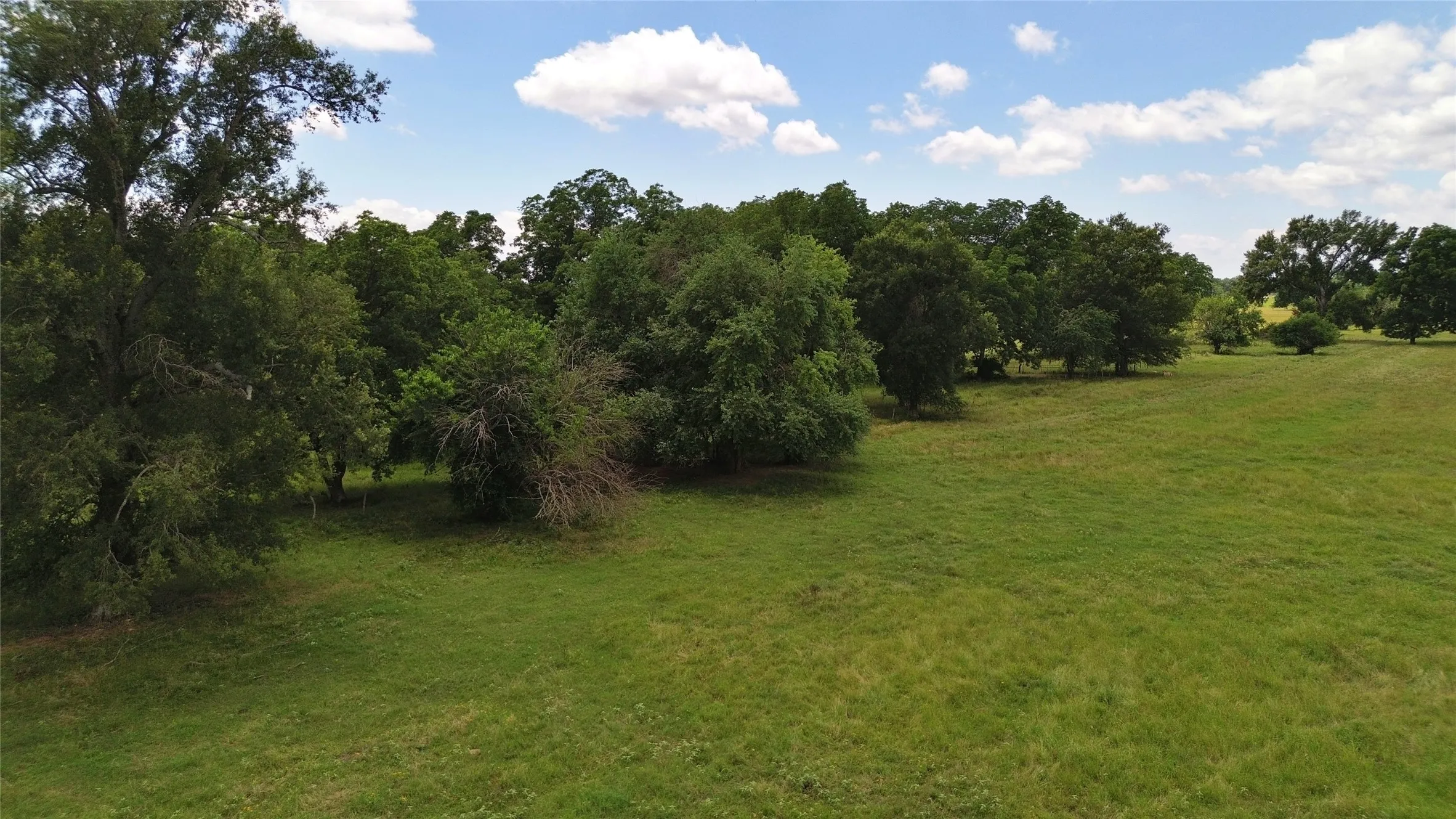 Ranch For Sale in Delta County , 695 County Road 1210, Lake Creek, Texas 75450, 0, 0, Garage spaces, 0 Sqft, built in 2000, Price $2,429,375, mls#21052676, Real Estate Agent in Lake Creek, Homes For Sale in Delta county, Homes For Sale in Lake Creek, Realtor in Lake Creek Texas, Real Estate Brokerage Independent Realty Texas, Luminita Cordes Realtor