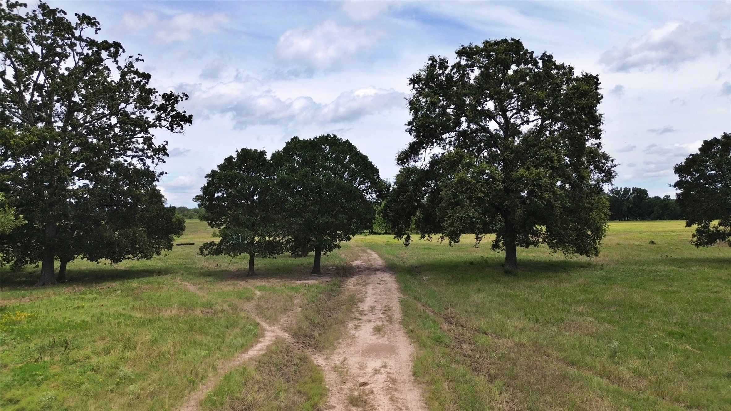 Ranch For Sale in Delta County , 695 County Road 1210, Lake Creek, Texas 75450, 0, 0, Garage spaces, 0 Sqft, built in 2000, Price $2,429,375, mls#21052676, Real Estate Agent in Lake Creek, Homes For Sale in Delta county, Homes For Sale in Lake Creek, Realtor in Lake Creek Texas, Real Estate Brokerage Independent Realty Texas, Luminita Cordes Realtor