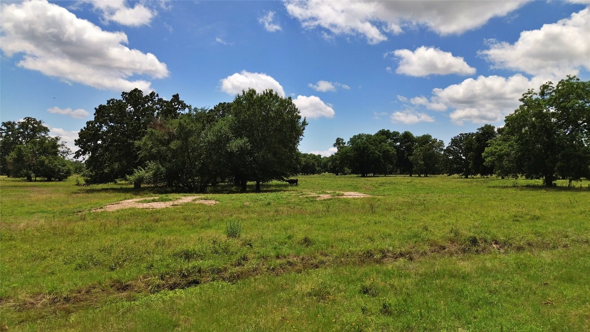 Ranch For Sale in Delta County , 695 County Road 1210, Lake Creek, Texas 75450, 0, 0, Garage spaces, 0 Sqft, built in 2000, Price $2,429,375, mls#21052676, Real Estate Agent in Lake Creek, Homes For Sale in Delta county, Homes For Sale in Lake Creek, Realtor in Lake Creek Texas, Real Estate Brokerage Independent Realty Texas, Luminita Cordes Realtor