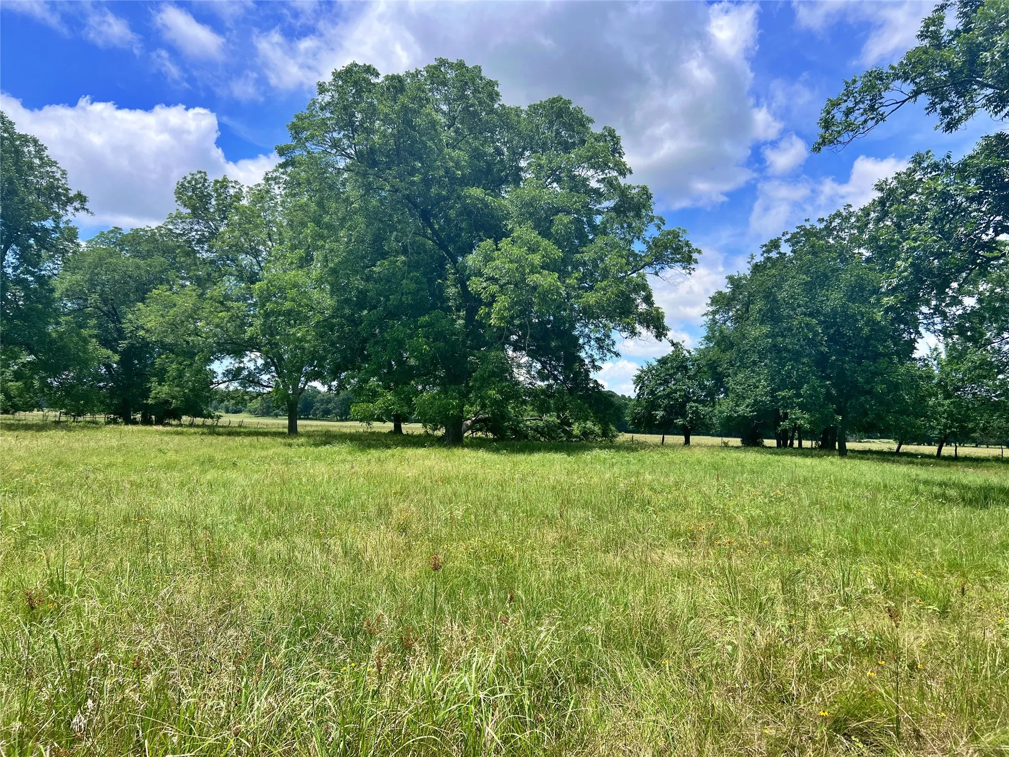 Ranch For Sale in Delta County , 695 County Road 1210, Lake Creek, Texas 75450, 0, 0, Garage spaces, 0 Sqft, built in 2000, Price $2,429,375, mls#21052676, Real Estate Agent in Lake Creek, Homes For Sale in Delta county, Homes For Sale in Lake Creek, Realtor in Lake Creek Texas, Real Estate Brokerage Independent Realty Texas, Luminita Cordes Realtor