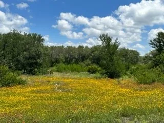 Ranch For Sale in Brown County , 90 Fm 2492, Brownwood, Texas 76801, 0, 0, Garage spaces, 0 Sqft, built in 0, mls#21053220, Real Estate Agent in Brownwood, Homes For Sale in Brown county, Homes For Sale in Brownwood, Realtor in Brownwood Texas, Real Estate Brokerage Independent Realty Texas, Luminita Cordes Realtor