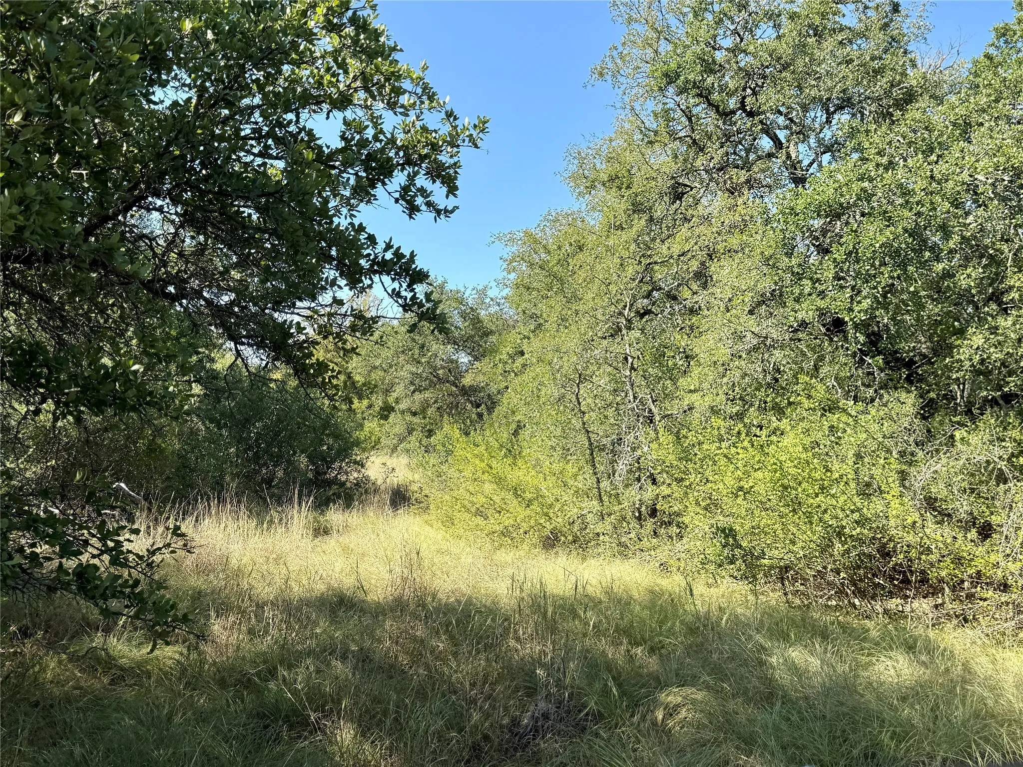 Ranch For Sale in Brown County , 90 Fm 2492, Brownwood, Texas 76801, 0, 0, Garage spaces, 0 Sqft, built in 0, mls#21053220, Real Estate Agent in Brownwood, Homes For Sale in Brown county, Homes For Sale in Brownwood, Realtor in Brownwood Texas, Real Estate Brokerage Independent Realty Texas, Luminita Cordes Realtor