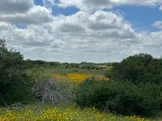 Ranch For Sale in Brown County , 90 Fm 2492, Brownwood, Texas 76801, 0, 0, Garage spaces, 0 Sqft, built in 0, mls#21053220, Real Estate Agent in Brownwood, Homes For Sale in Brown county, Homes For Sale in Brownwood, Realtor in Brownwood Texas, Real Estate Brokerage Independent Realty Texas, Luminita Cordes Realtor