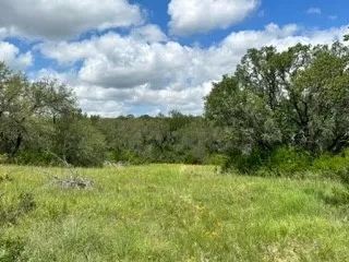 Ranch For Sale in Brown County , 90 Fm 2492, Brownwood, Texas 76801, 0, 0, Garage spaces, 0 Sqft, built in 0, mls#21053220, Real Estate Agent in Brownwood, Homes For Sale in Brown county, Homes For Sale in Brownwood, Realtor in Brownwood Texas, Real Estate Brokerage Independent Realty Texas, Luminita Cordes Realtor