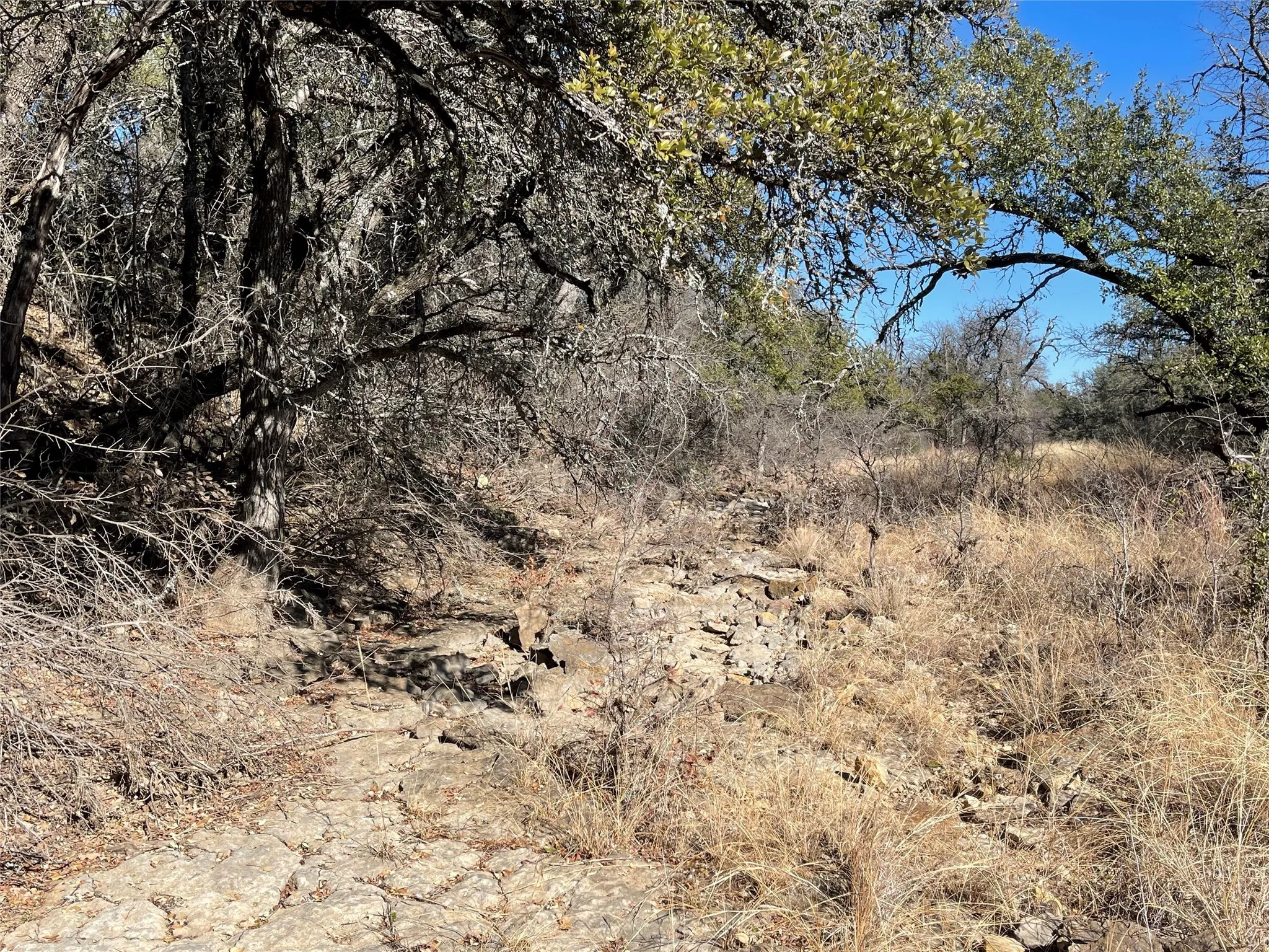 Ranch For Sale in Brown County , 90 Fm 2492, Brownwood, Texas 76801, 0, 0, Garage spaces, 0 Sqft, built in 0, mls#21053220, Real Estate Agent in Brownwood, Homes For Sale in Brown county, Homes For Sale in Brownwood, Realtor in Brownwood Texas, Real Estate Brokerage Independent Realty Texas, Luminita Cordes Realtor