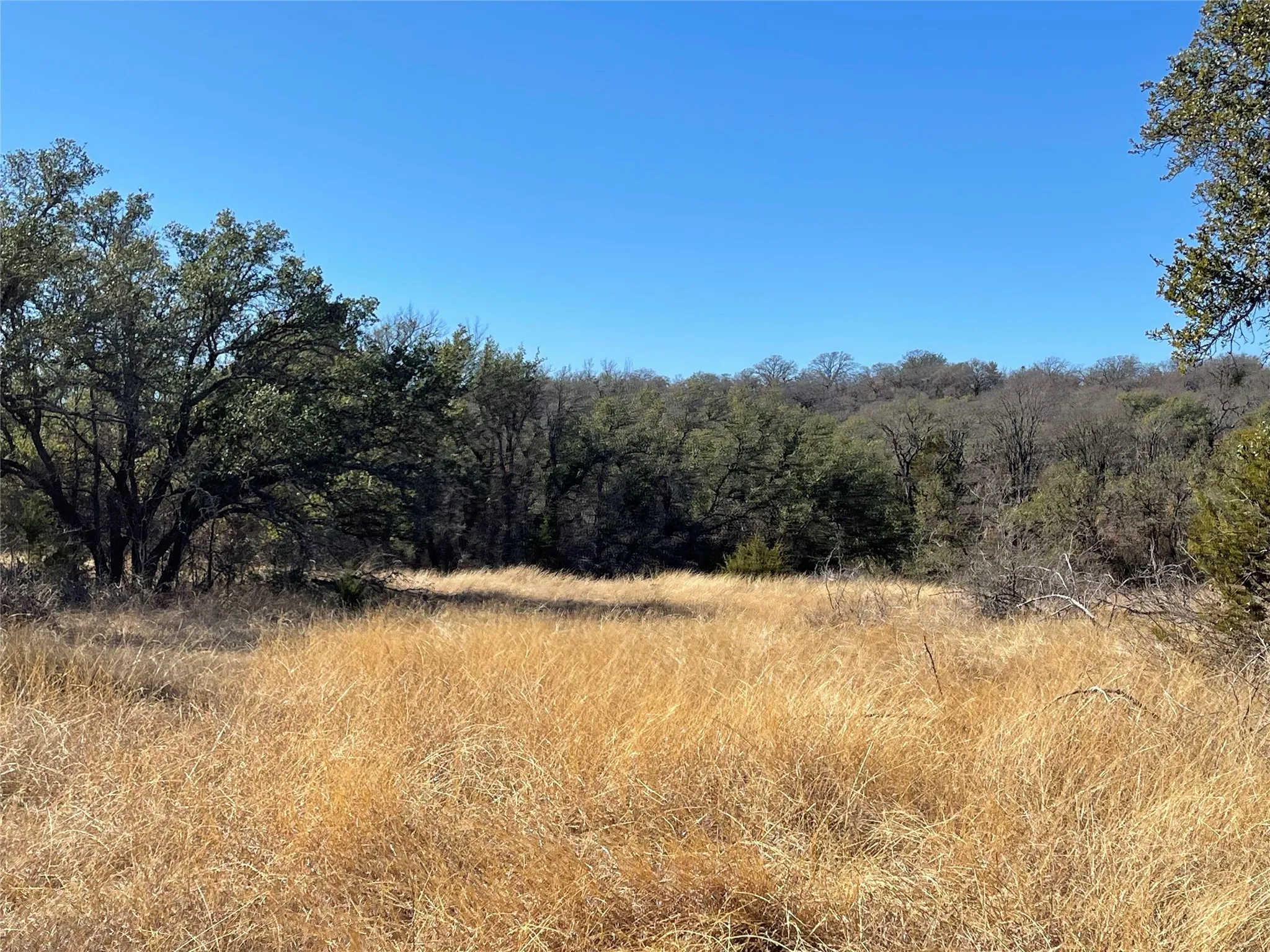 Ranch For Sale in Brown County , 90 Fm 2492, Brownwood, Texas 76801, 0, 0, Garage spaces, 0 Sqft, built in 0, mls#21053220, Real Estate Agent in Brownwood, Homes For Sale in Brown county, Homes For Sale in Brownwood, Realtor in Brownwood Texas, Real Estate Brokerage Independent Realty Texas, Luminita Cordes Realtor