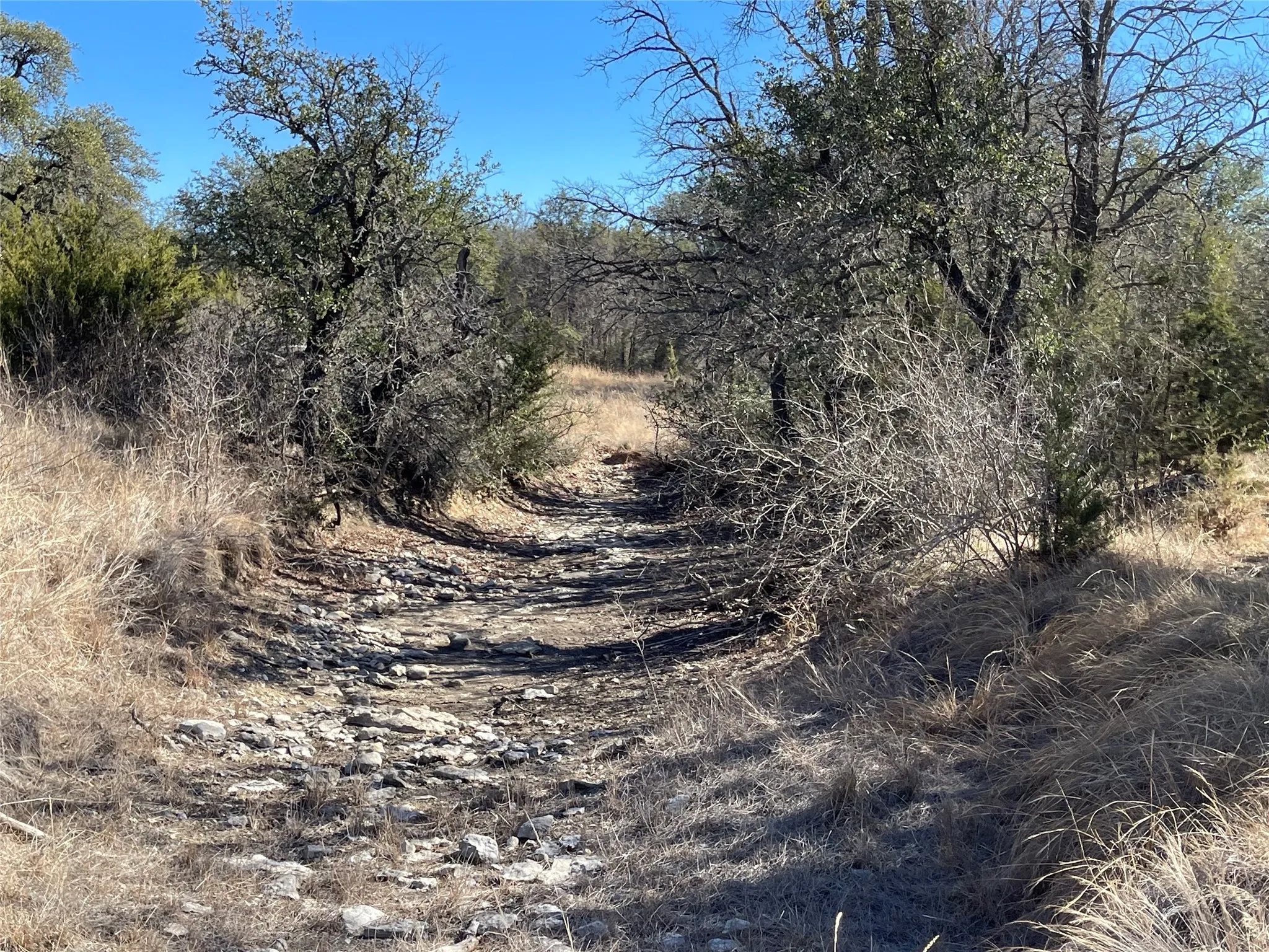 Ranch For Sale in Brown County , 90 Fm 2492, Brownwood, Texas 76801, 0, 0, Garage spaces, 0 Sqft, built in 0, mls#21053220, Real Estate Agent in Brownwood, Homes For Sale in Brown county, Homes For Sale in Brownwood, Realtor in Brownwood Texas, Real Estate Brokerage Independent Realty Texas, Luminita Cordes Realtor