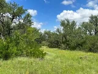 Ranch For Sale in Brown County , 90 Fm 2492, Brownwood, Texas 76801, 0, 0, Garage spaces, 0 Sqft, built in 0, mls#21053220, Real Estate Agent in Brownwood, Homes For Sale in Brown county, Homes For Sale in Brownwood, Realtor in Brownwood Texas, Real Estate Brokerage Independent Realty Texas, Luminita Cordes Realtor