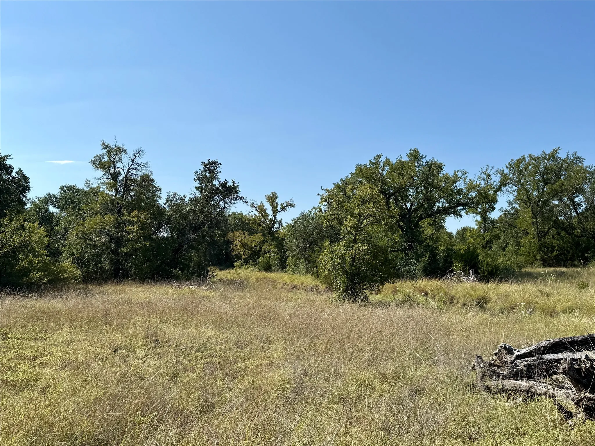 Ranch For Sale in Brown County , 90 Fm 2492, Brownwood, Texas 76801, 0, 0, Garage spaces, 0 Sqft, built in 0, mls#21053220, Real Estate Agent in Brownwood, Homes For Sale in Brown county, Homes For Sale in Brownwood, Realtor in Brownwood Texas, Real Estate Brokerage Independent Realty Texas, Luminita Cordes Realtor