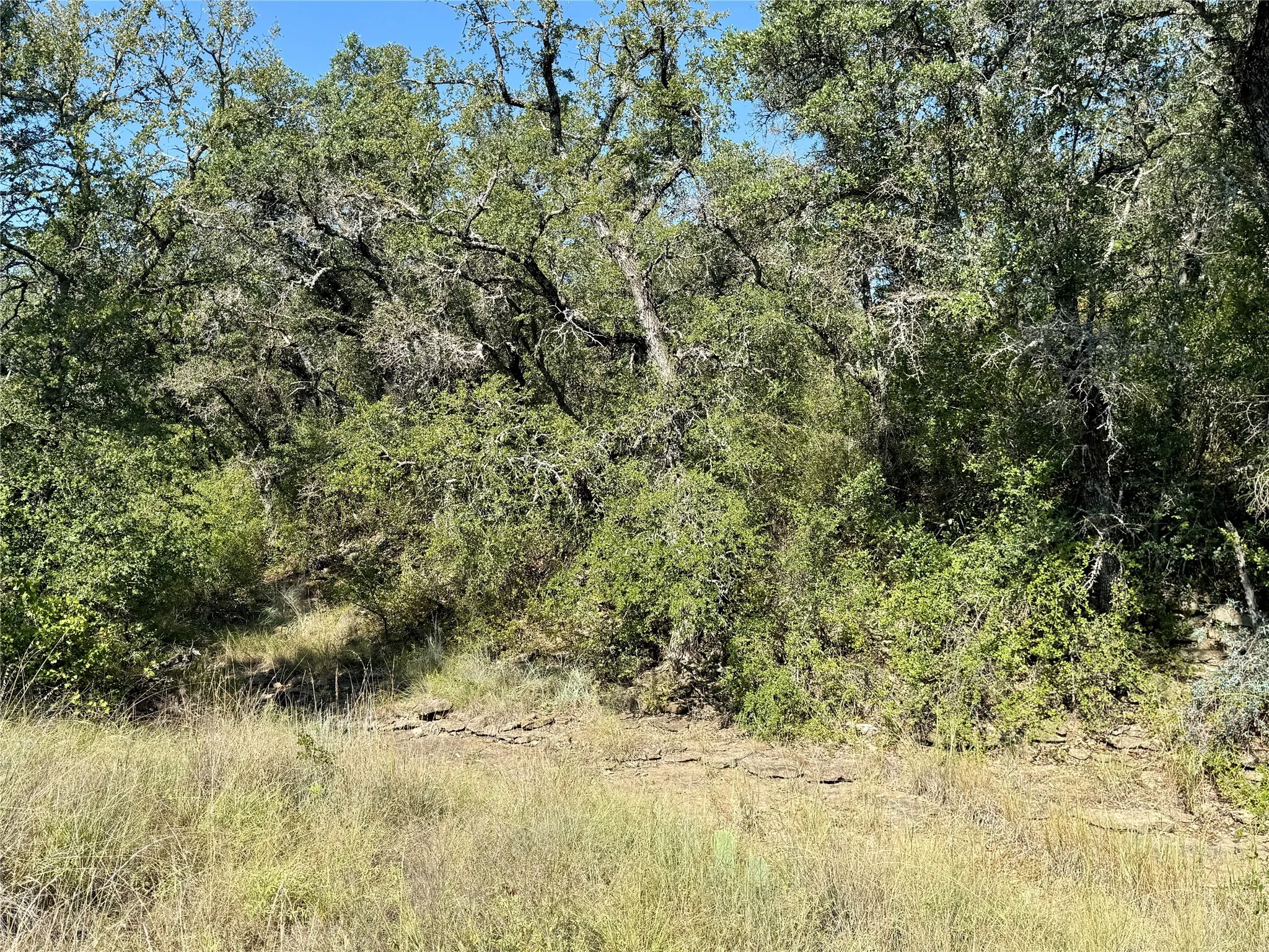 Ranch For Sale in Brown County , 90 Fm 2492, Brownwood, Texas 76801, 0, 0, Garage spaces, 0 Sqft, built in 0, mls#21053220, Real Estate Agent in Brownwood, Homes For Sale in Brown county, Homes For Sale in Brownwood, Realtor in Brownwood Texas, Real Estate Brokerage Independent Realty Texas, Luminita Cordes Realtor