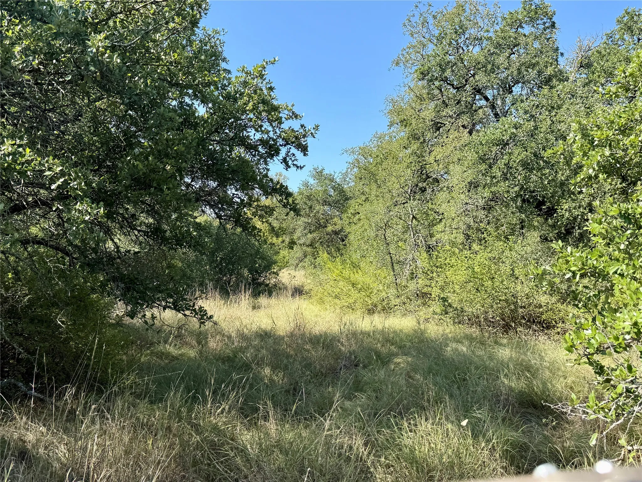 Ranch For Sale in Brown County , 90 Fm 2492, Brownwood, Texas 76801, 0, 0, Garage spaces, 0 Sqft, built in 0, mls#21053220, Real Estate Agent in Brownwood, Homes For Sale in Brown county, Homes For Sale in Brownwood, Realtor in Brownwood Texas, Real Estate Brokerage Independent Realty Texas, Luminita Cordes Realtor