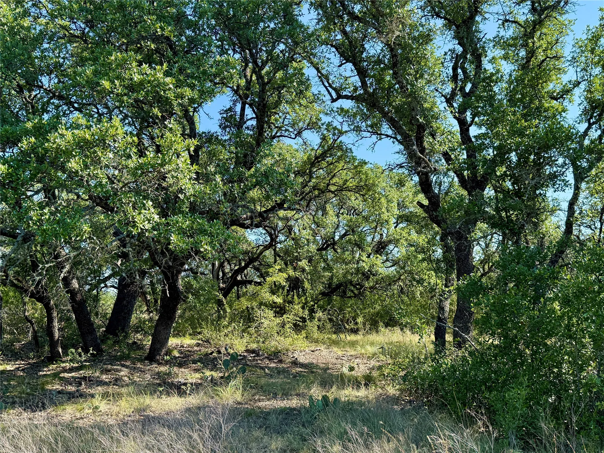 Ranch For Sale in Brown County , 90 Fm 2492, Brownwood, Texas 76801, 0, 0, Garage spaces, 0 Sqft, built in 0, mls#21053220, Real Estate Agent in Brownwood, Homes For Sale in Brown county, Homes For Sale in Brownwood, Realtor in Brownwood Texas, Real Estate Brokerage Independent Realty Texas, Luminita Cordes Realtor