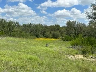 Ranch For Sale in Brown County , 90 Fm 2492, Brownwood, Texas 76801, 0, 0, Garage spaces, 0 Sqft, built in 0, mls#21053220, Real Estate Agent in Brownwood, Homes For Sale in Brown county, Homes For Sale in Brownwood, Realtor in Brownwood Texas, Real Estate Brokerage Independent Realty Texas, Luminita Cordes Realtor
