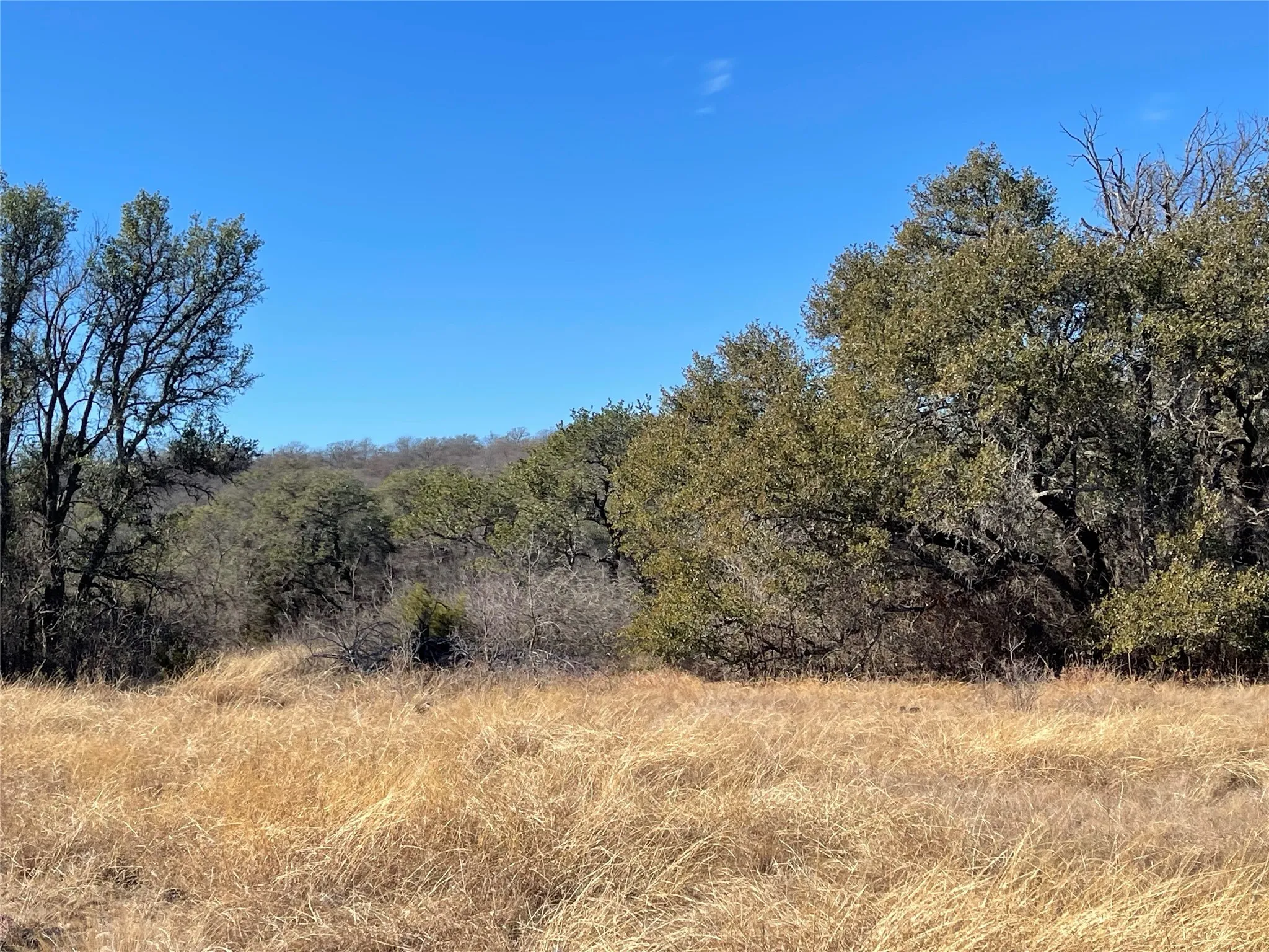 Ranch For Sale in Brown County , 90 Fm 2492, Brownwood, Texas 76801, 0, 0, Garage spaces, 0 Sqft, built in 0, mls#21053220, Real Estate Agent in Brownwood, Homes For Sale in Brown county, Homes For Sale in Brownwood, Realtor in Brownwood Texas, Real Estate Brokerage Independent Realty Texas, Luminita Cordes Realtor