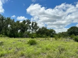 Ranch For Sale in Brown County , 90 Fm 2492, Brownwood, Texas 76801, 0, 0, Garage spaces, 0 Sqft, built in 0, mls#21053220, Real Estate Agent in Brownwood, Homes For Sale in Brown county, Homes For Sale in Brownwood, Realtor in Brownwood Texas, Real Estate Brokerage Independent Realty Texas, Luminita Cordes Realtor