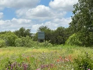 Ranch For Sale in Brown County , 90 Fm 2492, Brownwood, Texas 76801, 0, 0, Garage spaces, 0 Sqft, built in 0, mls#21053220, Real Estate Agent in Brownwood, Homes For Sale in Brown county, Homes For Sale in Brownwood, Realtor in Brownwood Texas, Real Estate Brokerage Independent Realty Texas, Luminita Cordes Realtor