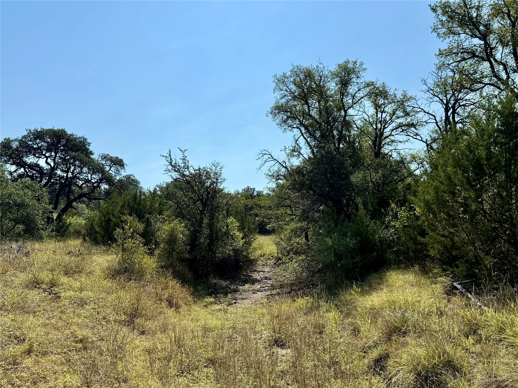 Ranch For Sale in Brown County , 90 Fm 2492, Brownwood, Texas 76801, 0, 0, Garage spaces, 0 Sqft, built in 0, mls#21053220, Real Estate Agent in Brownwood, Homes For Sale in Brown county, Homes For Sale in Brownwood, Realtor in Brownwood Texas, Real Estate Brokerage Independent Realty Texas, Luminita Cordes Realtor