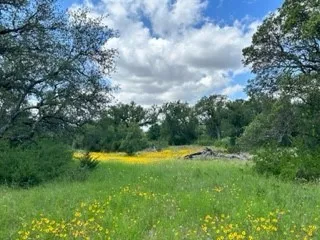 Ranch For Sale in Brown County , 90 Fm 2492, Brownwood, Texas 76801, 0, 0, Garage spaces, 0 Sqft, built in 0, mls#21053220, Real Estate Agent in Brownwood, Homes For Sale in Brown county, Homes For Sale in Brownwood, Realtor in Brownwood Texas, Real Estate Brokerage Independent Realty Texas, Luminita Cordes Realtor