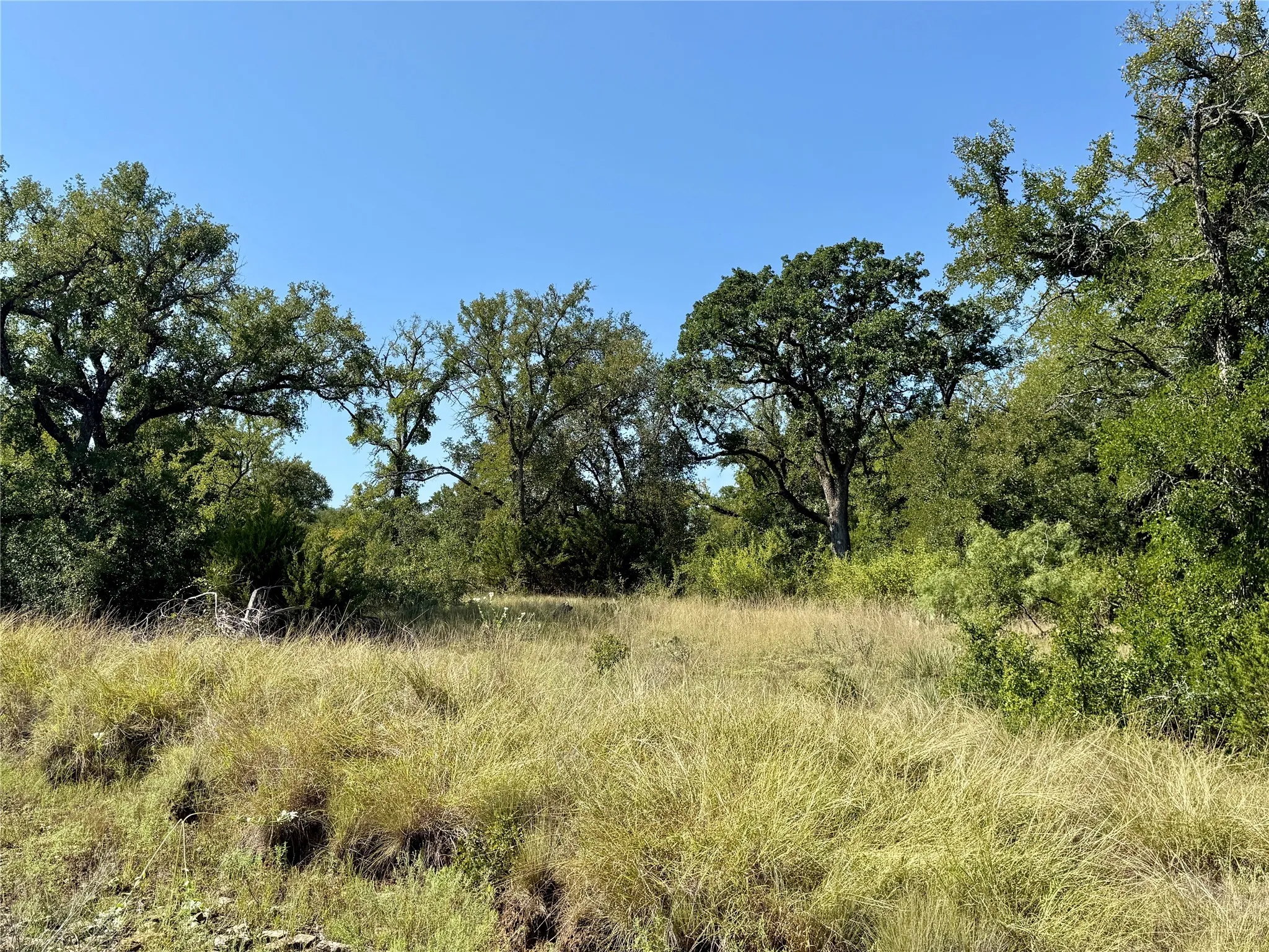 Ranch For Sale in Brown County , 90 Fm 2492, Brownwood, Texas 76801, 0, 0, Garage spaces, 0 Sqft, built in 0, mls#21053220, Real Estate Agent in Brownwood, Homes For Sale in Brown county, Homes For Sale in Brownwood, Realtor in Brownwood Texas, Real Estate Brokerage Independent Realty Texas, Luminita Cordes Realtor
