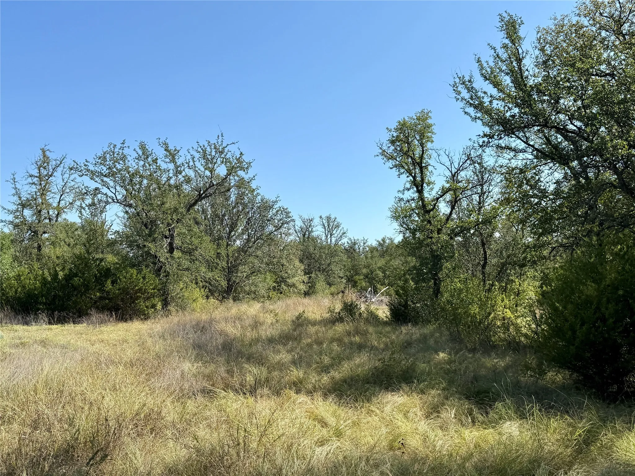 Ranch For Sale in Brown County , 90 Fm 2492, Brownwood, Texas 76801, 0, 0, Garage spaces, 0 Sqft, built in 0, mls#21053220, Real Estate Agent in Brownwood, Homes For Sale in Brown county, Homes For Sale in Brownwood, Realtor in Brownwood Texas, Real Estate Brokerage Independent Realty Texas, Luminita Cordes Realtor