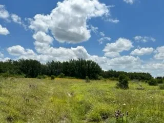 Ranch For Sale in Brown County , 90 Fm 2492, Brownwood, Texas 76801, 0, 0, Garage spaces, 0 Sqft, built in 0, mls#21053220, Real Estate Agent in Brownwood, Homes For Sale in Brown county, Homes For Sale in Brownwood, Realtor in Brownwood Texas, Real Estate Brokerage Independent Realty Texas, Luminita Cordes Realtor
