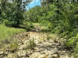 Ranch For Sale in Brown County , 90 Fm 2492, Brownwood, Texas 76801, 0, 0, Garage spaces, 0 Sqft, built in 0, mls#21053220, Real Estate Agent in Brownwood, Homes For Sale in Brown county, Homes For Sale in Brownwood, Realtor in Brownwood Texas, Real Estate Brokerage Independent Realty Texas, Luminita Cordes Realtor