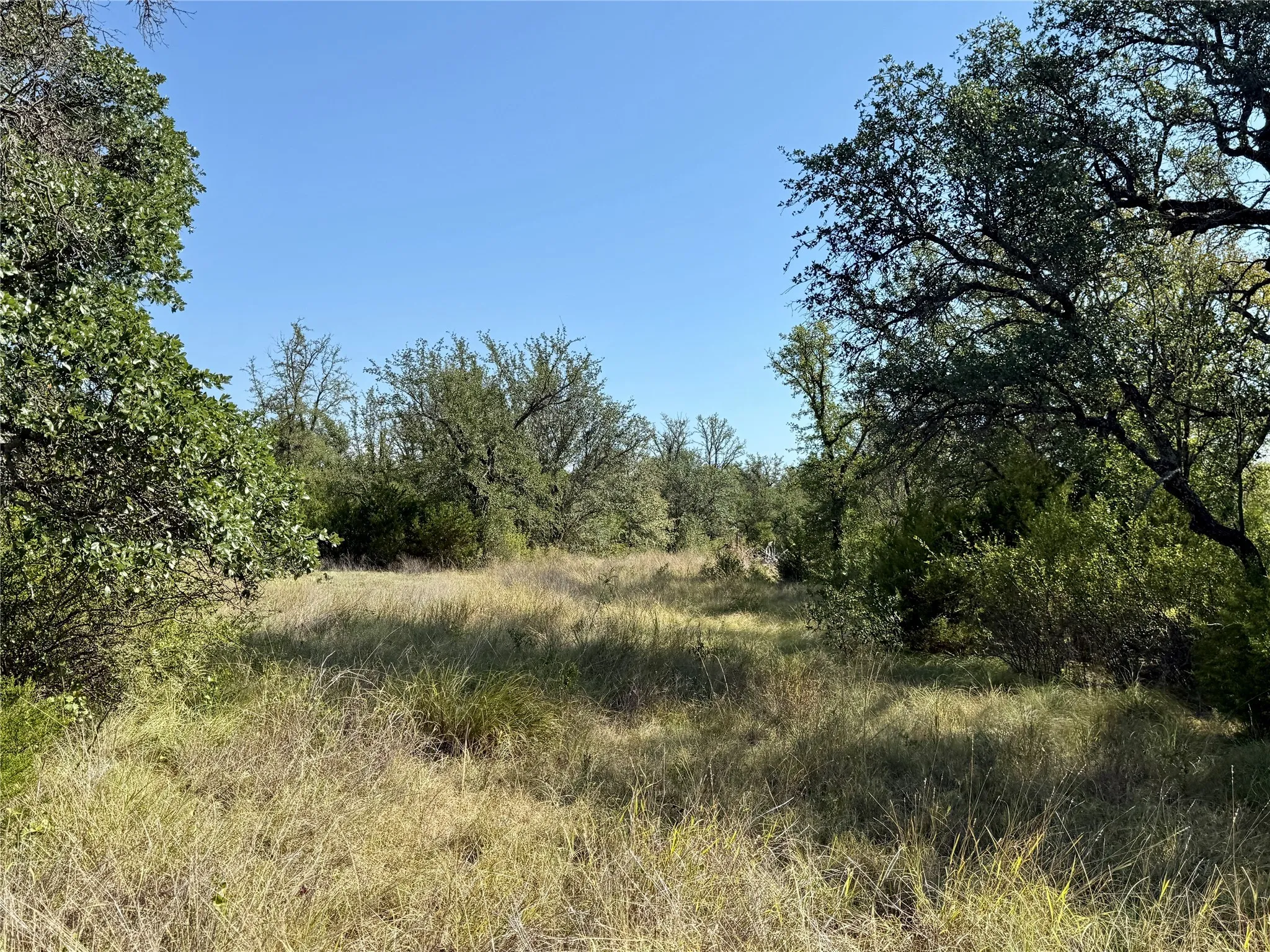 Ranch For Sale in Brown County , 90 Fm 2492, Brownwood, Texas 76801, 0, 0, Garage spaces, 0 Sqft, built in 0, mls#21053220, Real Estate Agent in Brownwood, Homes For Sale in Brown county, Homes For Sale in Brownwood, Realtor in Brownwood Texas, Real Estate Brokerage Independent Realty Texas, Luminita Cordes Realtor