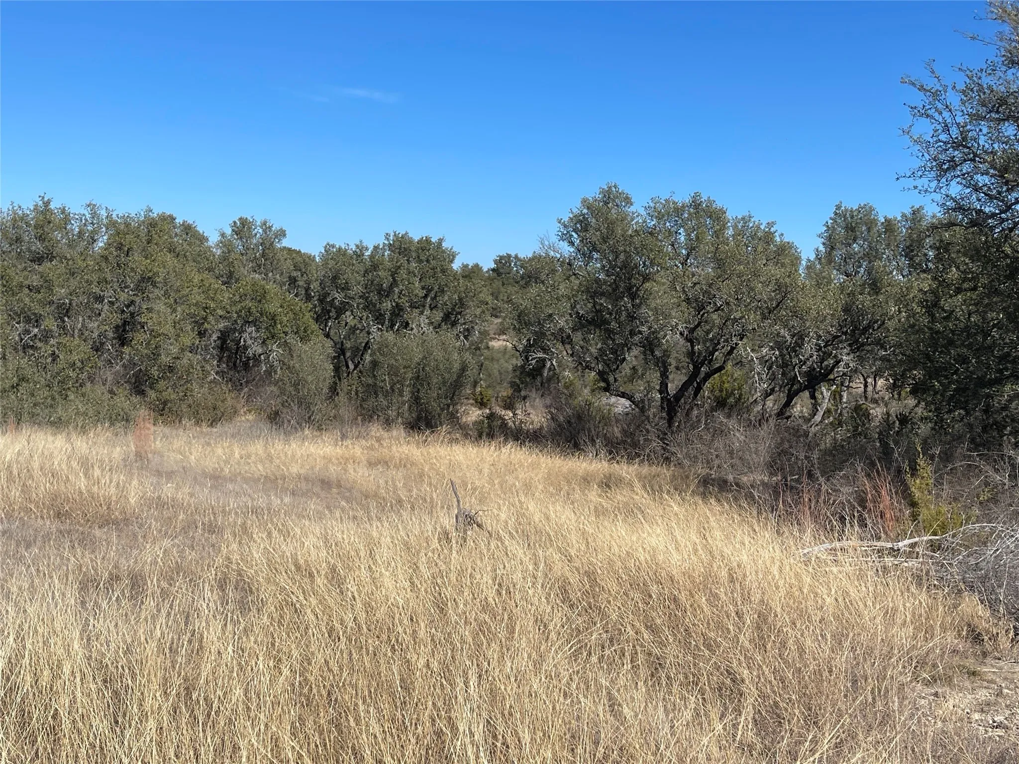 Ranch For Sale in Brown County , 90 Fm 2492, Brownwood, Texas 76801, 0, 0, Garage spaces, 0 Sqft, built in 0, mls#21053220, Real Estate Agent in Brownwood, Homes For Sale in Brown county, Homes For Sale in Brownwood, Realtor in Brownwood Texas, Real Estate Brokerage Independent Realty Texas, Luminita Cordes Realtor
