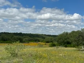 Ranch For Sale in Brown County , 90 Fm 2492, Brownwood, Texas 76801, 0, 0, Garage spaces, 0 Sqft, built in 0, mls#21053220, Real Estate Agent in Brownwood, Homes For Sale in Brown county, Homes For Sale in Brownwood, Realtor in Brownwood Texas, Real Estate Brokerage Independent Realty Texas, Luminita Cordes Realtor