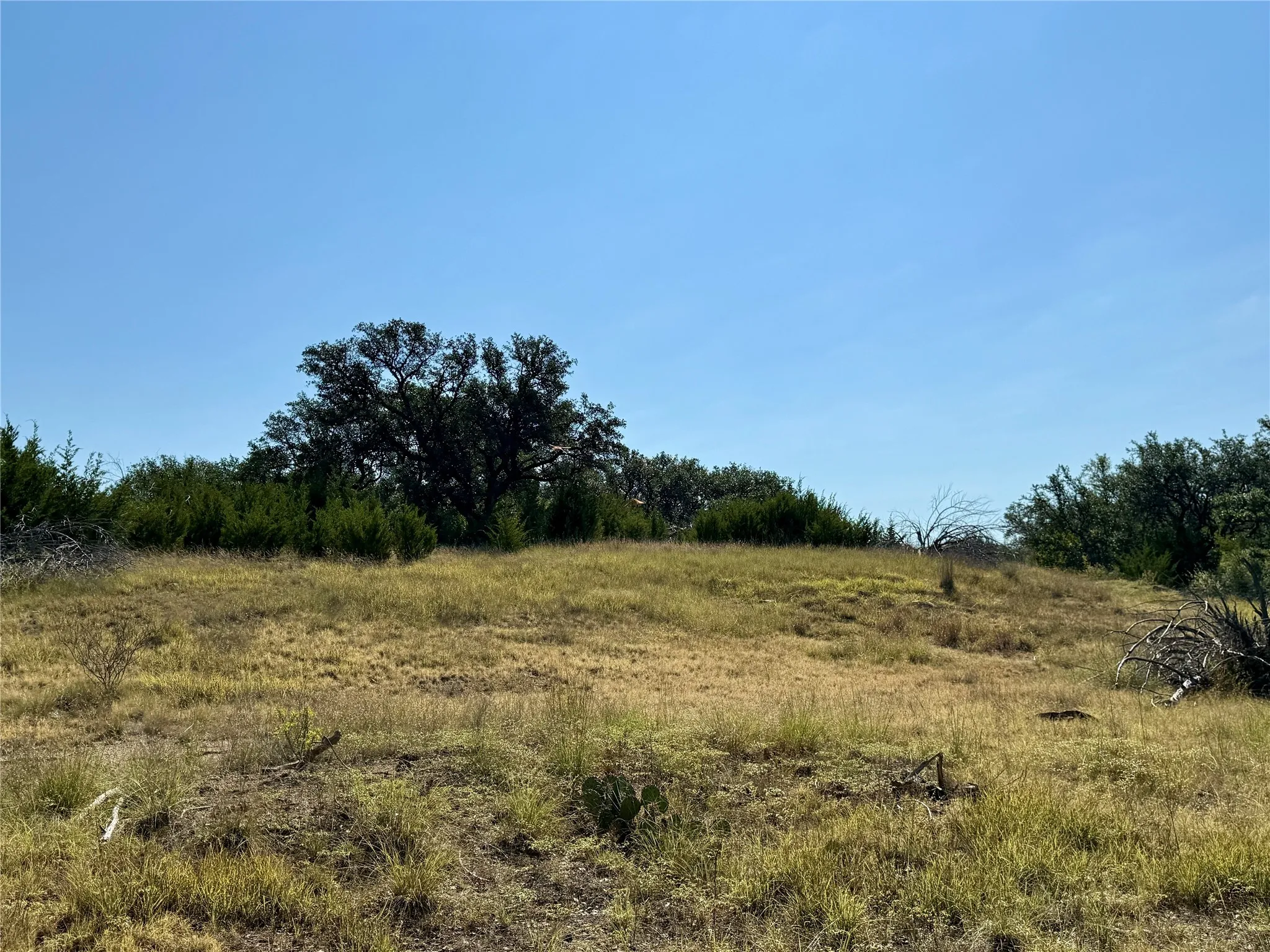Ranch For Sale in Brown County , 90 Fm 2492, Brownwood, Texas 76801, 0, 0, Garage spaces, 0 Sqft, built in 0, mls#21053220, Real Estate Agent in Brownwood, Homes For Sale in Brown county, Homes For Sale in Brownwood, Realtor in Brownwood Texas, Real Estate Brokerage Independent Realty Texas, Luminita Cordes Realtor