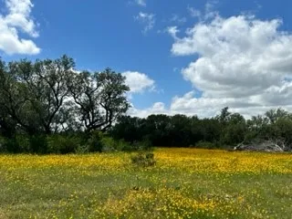 Ranch For Sale in Brown County , 90 Fm 2492, Brownwood, Texas 76801, 0, 0, Garage spaces, 0 Sqft, built in 0, mls#21053220, Real Estate Agent in Brownwood, Homes For Sale in Brown county, Homes For Sale in Brownwood, Realtor in Brownwood Texas, Real Estate Brokerage Independent Realty Texas, Luminita Cordes Realtor