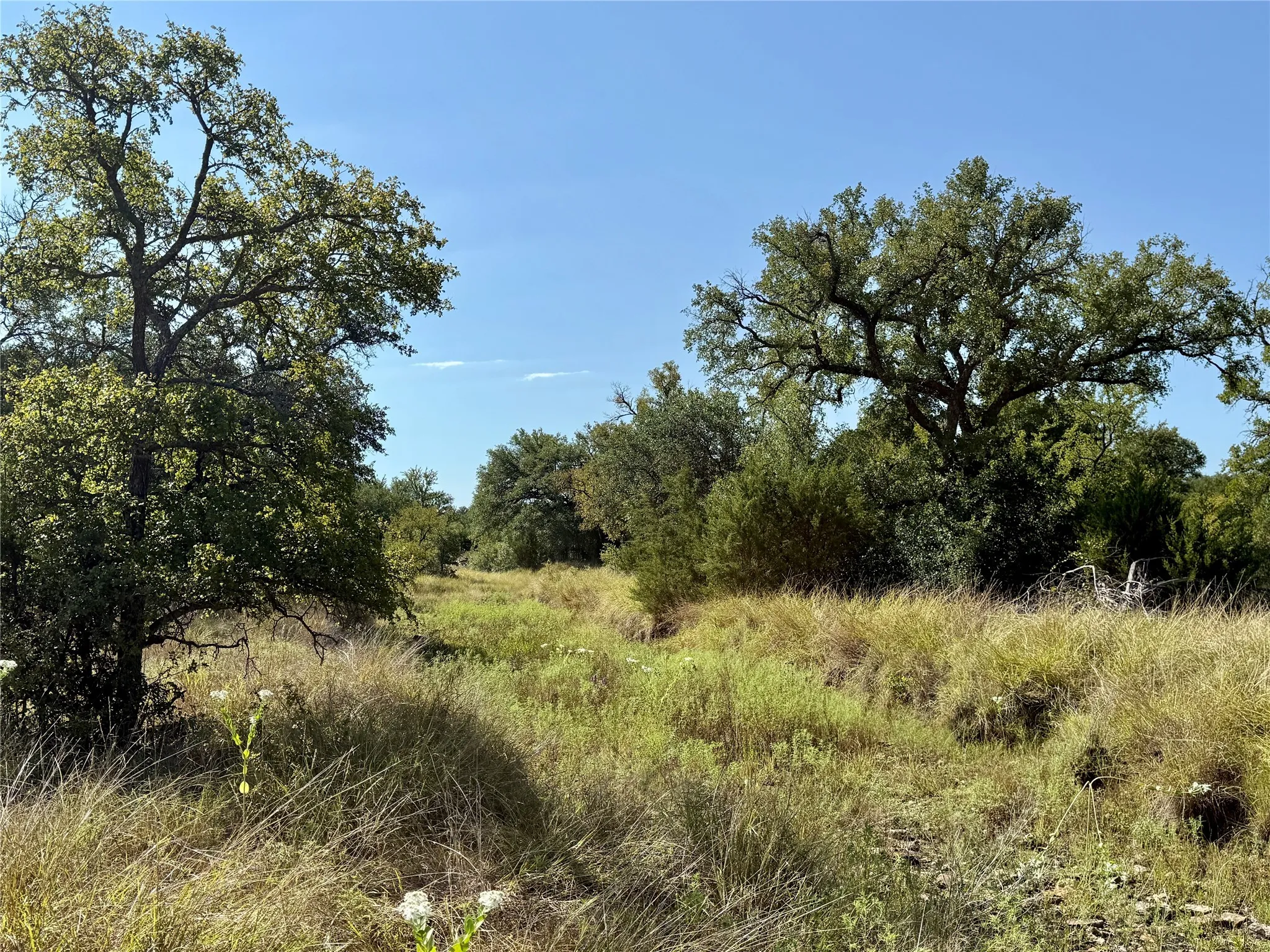 Ranch For Sale in Brown County , 90 Fm 2492, Brownwood, Texas 76801, 0, 0, Garage spaces, 0 Sqft, built in 0, mls#21053220, Real Estate Agent in Brownwood, Homes For Sale in Brown county, Homes For Sale in Brownwood, Realtor in Brownwood Texas, Real Estate Brokerage Independent Realty Texas, Luminita Cordes Realtor