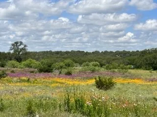 Ranch For Sale in Brown County , 90 Fm 2492, Brownwood, Texas 76801, 0, 0, Garage spaces, 0 Sqft, built in 0, mls#21053220, Real Estate Agent in Brownwood, Homes For Sale in Brown county, Homes For Sale in Brownwood, Realtor in Brownwood Texas, Real Estate Brokerage Independent Realty Texas, Luminita Cordes Realtor