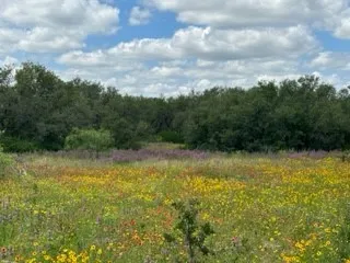 Ranch For Sale in Brown County , 90 Fm 2492, Brownwood, Texas 76801, 0, 0, Garage spaces, 0 Sqft, built in 0, mls#21053220, Real Estate Agent in Brownwood, Homes For Sale in Brown county, Homes For Sale in Brownwood, Realtor in Brownwood Texas, Real Estate Brokerage Independent Realty Texas, Luminita Cordes Realtor