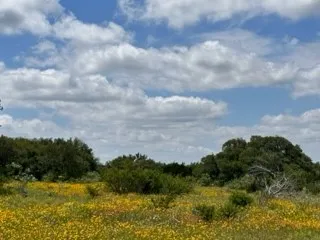 Ranch For Sale in Brown County , 90 Fm 2492, Brownwood, Texas 76801, 0, 0, Garage spaces, 0 Sqft, built in 0, mls#21053220, Real Estate Agent in Brownwood, Homes For Sale in Brown county, Homes For Sale in Brownwood, Realtor in Brownwood Texas, Real Estate Brokerage Independent Realty Texas, Luminita Cordes Realtor