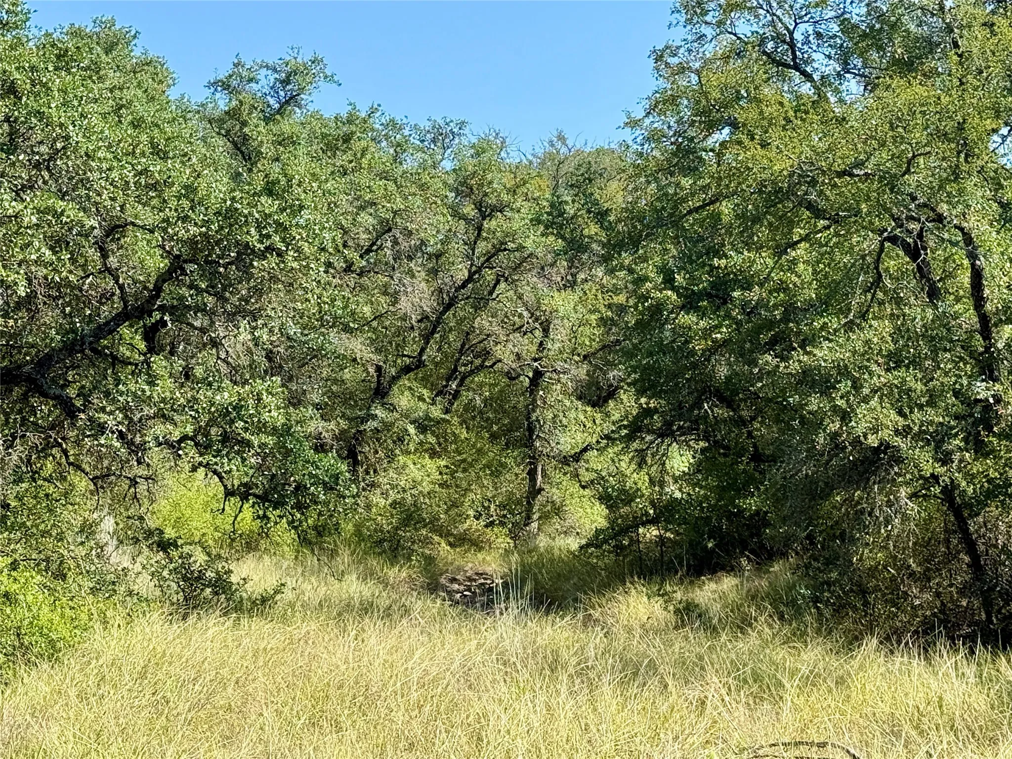 Ranch For Sale in Brown County , 90 Fm 2492, Brownwood, Texas 76801, 0, 0, Garage spaces, 0 Sqft, built in 0, mls#21053220, Real Estate Agent in Brownwood, Homes For Sale in Brown county, Homes For Sale in Brownwood, Realtor in Brownwood Texas, Real Estate Brokerage Independent Realty Texas, Luminita Cordes Realtor