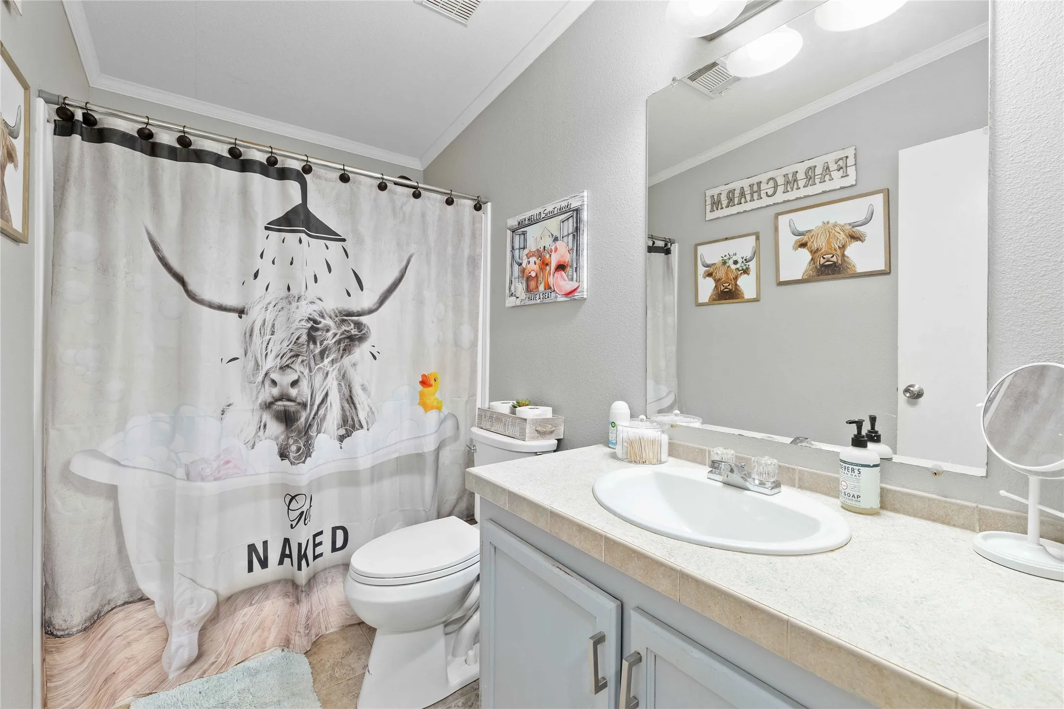 Bathroom with ornamental molding and vanity
