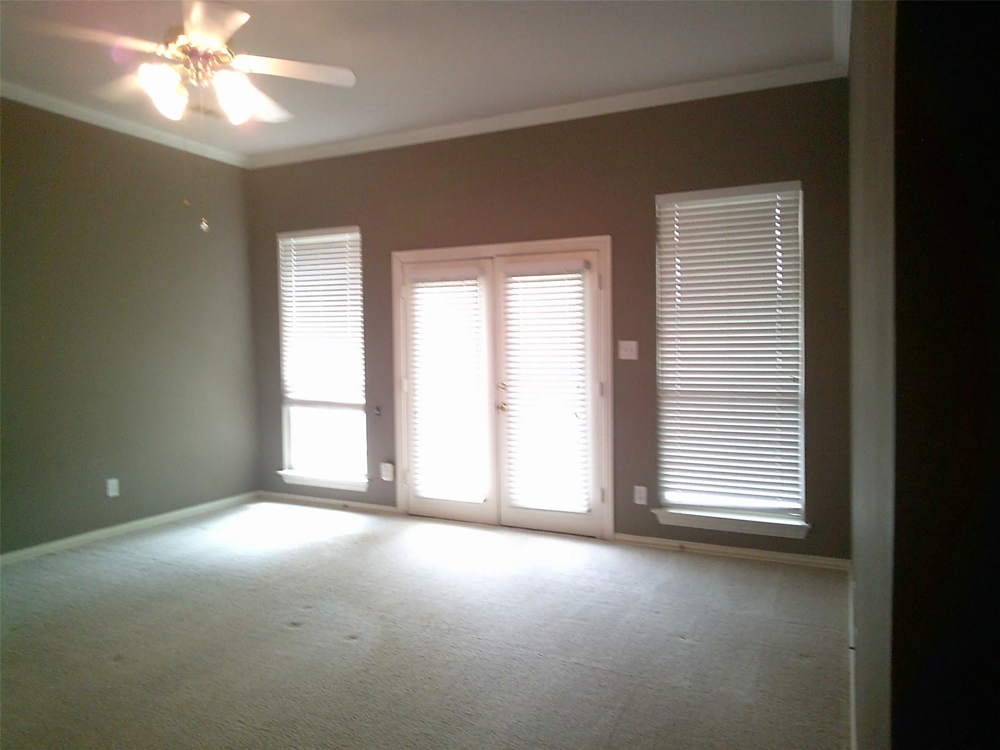 Unfurnished room with crown molding, carpet floors, and a ceiling fan