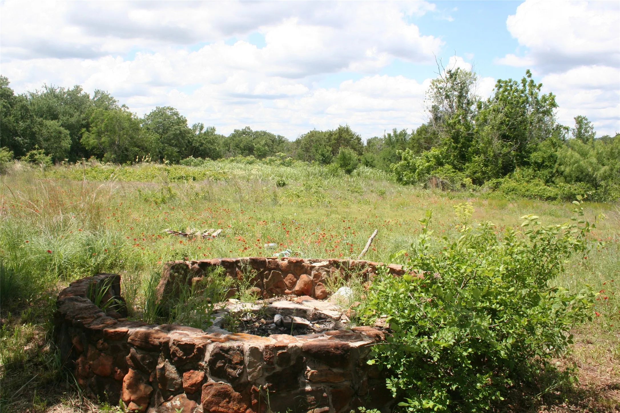 View of local wilderness