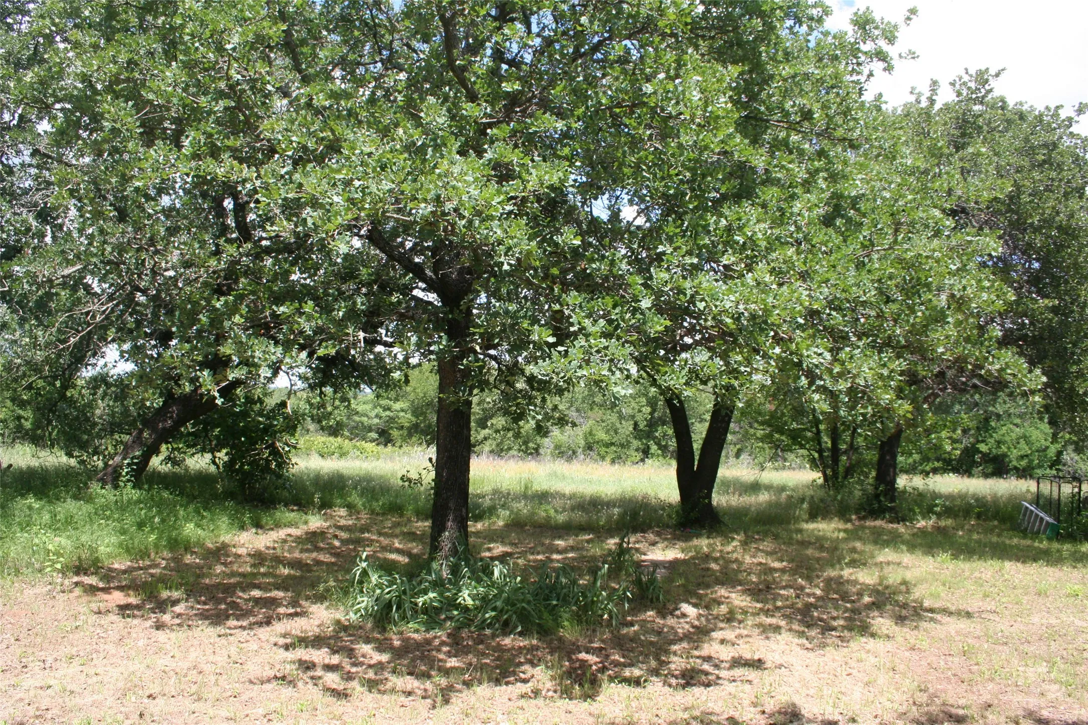 Mobile Home For Sale in Palo Pinto County , 215a Buzbee Road, Palo Pinto, Texas 76484, 3 Bedroom, 2 Bathroom, Garage spaces, 1,568 Sqft, built in 1985, mls#21054164, Real Estate Agent in Palo Pinto, Homes For Sale in Palo Pinto county, Homes For Sale in Palo Pinto, Realtor in Palo Pinto Texas, Real Estate Brokerage Independent Realty Texas, Luminita Cordes Realtor