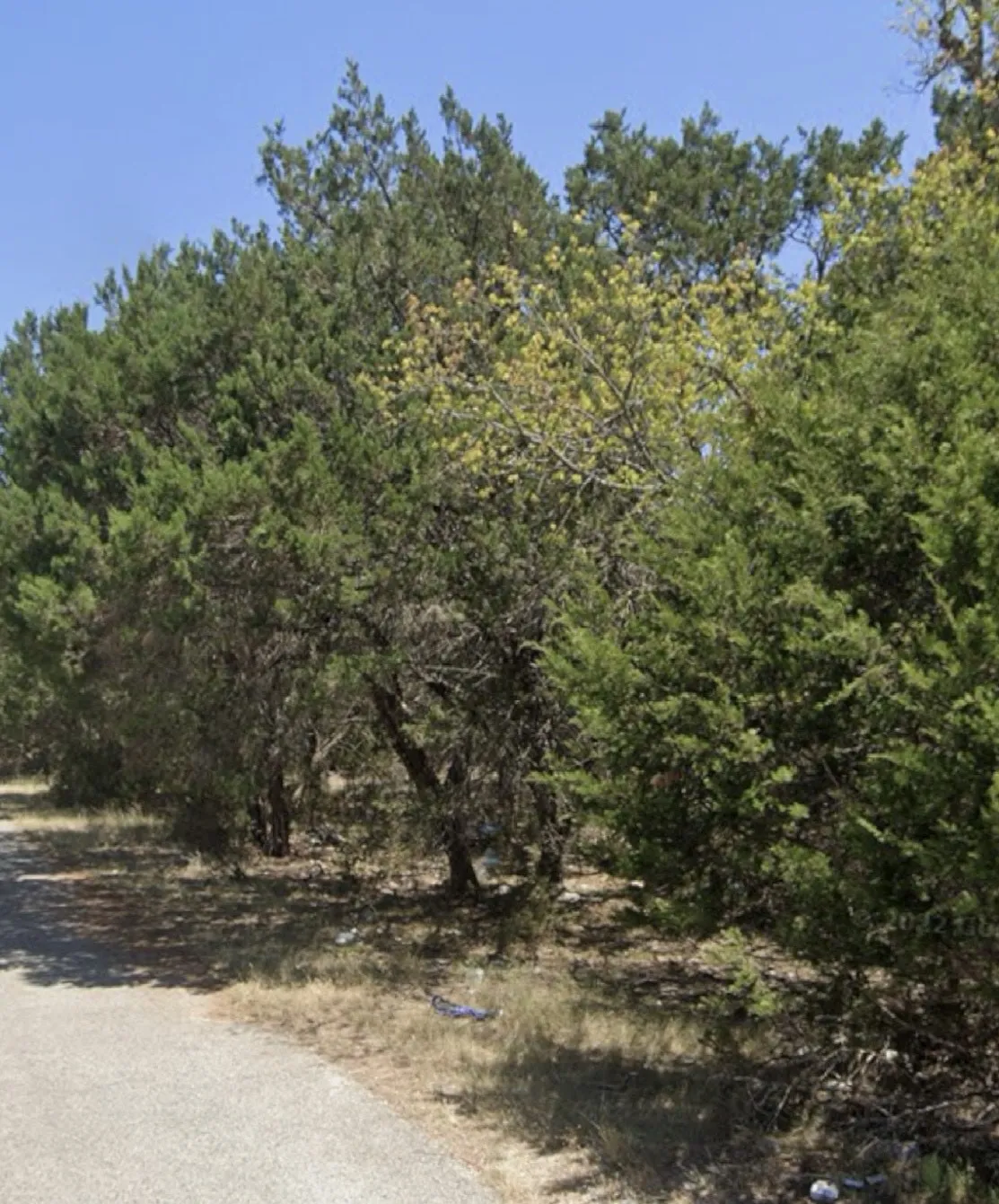 Unimproved Land For Sale in Bell County , 0 Teakwood Lane, Morgans Point Resort, Texas 76513, 0, 0, Garage spaces, 0 Sqft, built in 0, Price $13,000, mls#21054557, Real Estate Agent in Morgans Point Resort, Homes For Sale in Bell county, Homes For Sale in Morgans Point Resort, Realtor in Morgans Point Resort Texas, Real Estate Brokerage Independent Realty Texas, Luminita Cordes Realtor