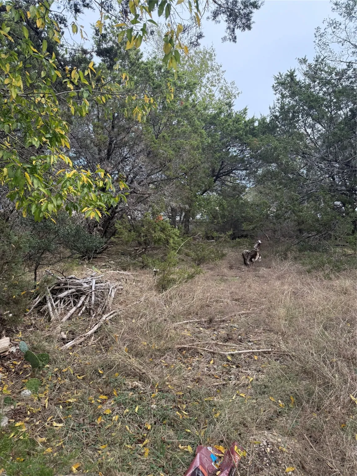 Unimproved Land For Sale in Bell County , 0 Teakwood Lane, Morgans Point Resort, Texas 76513, 0, 0, Garage spaces, 0 Sqft, built in 0, Price $13,000, mls#21054557, Real Estate Agent in Morgans Point Resort, Homes For Sale in Bell county, Homes For Sale in Morgans Point Resort, Realtor in Morgans Point Resort Texas, Real Estate Brokerage Independent Realty Texas, Luminita Cordes Realtor