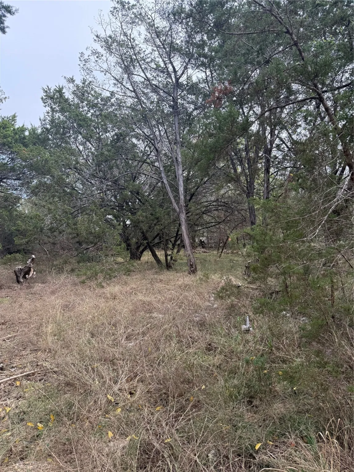 Unimproved Land For Sale in Bell County , 0 Teakwood Lane, Morgans Point Resort, Texas 76513, 0, 0, Garage spaces, 0 Sqft, built in 0, Price $13,000, mls#21054557, Real Estate Agent in Morgans Point Resort, Homes For Sale in Bell county, Homes For Sale in Morgans Point Resort, Realtor in Morgans Point Resort Texas, Real Estate Brokerage Independent Realty Texas, Luminita Cordes Realtor