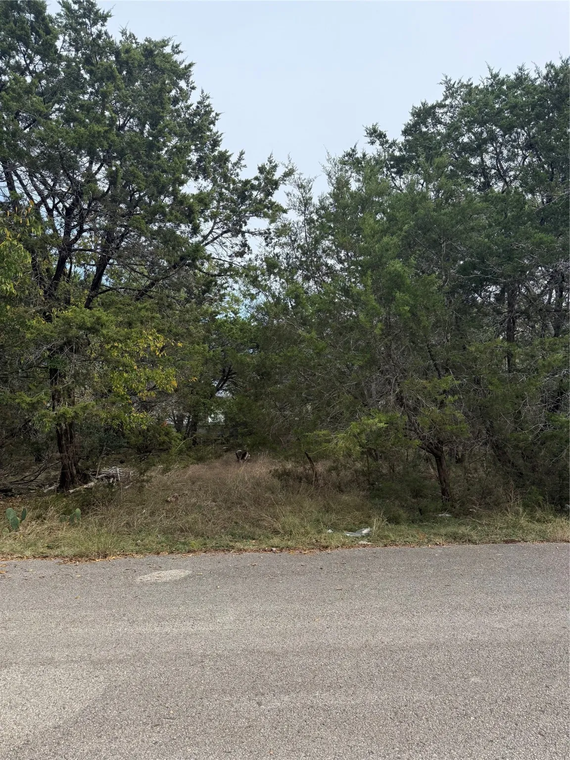 Unimproved Land For Sale in Bell County , 0 Teakwood Lane, Morgans Point Resort, Texas 76513, 0, 0, Garage spaces, 0 Sqft, built in 0, Price $13,000, mls#21054557, Real Estate Agent in Morgans Point Resort, Homes For Sale in Bell county, Homes For Sale in Morgans Point Resort, Realtor in Morgans Point Resort Texas, Real Estate Brokerage Independent Realty Texas, Luminita Cordes Realtor