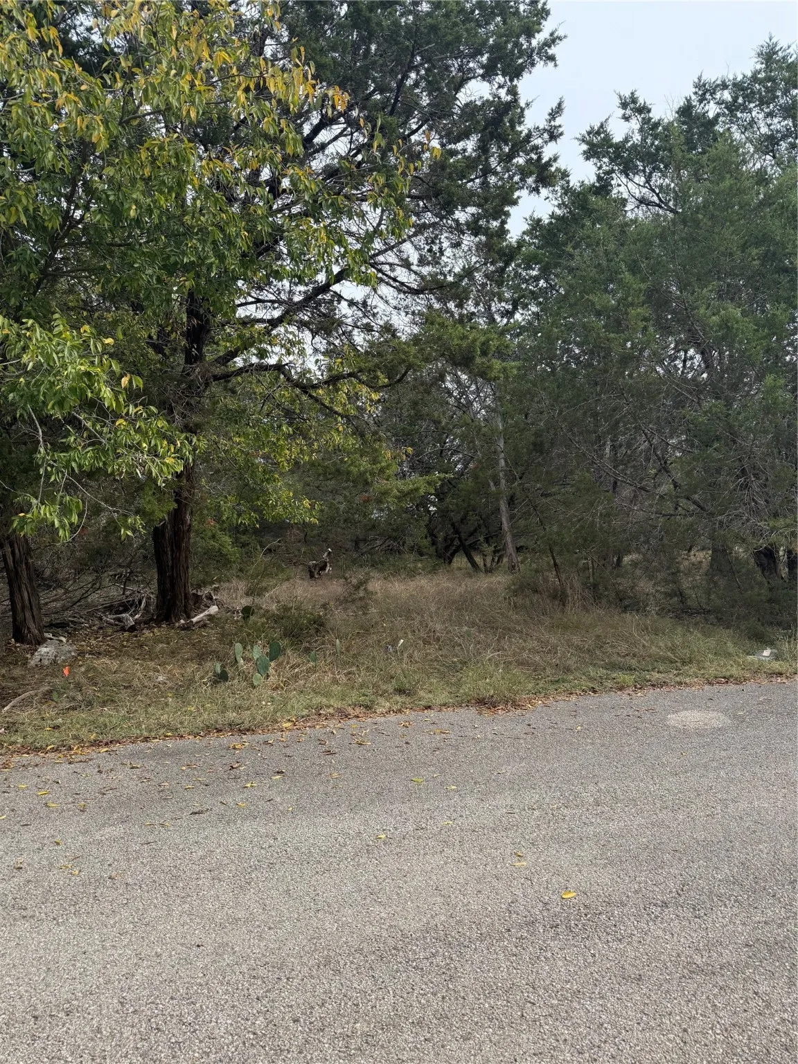 Unimproved Land For Sale in Bell County , 0 Teakwood Lane, Morgans Point Resort, Texas 76513, 0, 0, Garage spaces, 0 Sqft, built in 0, Price $13,000, mls#21054557, Real Estate Agent in Morgans Point Resort, Homes For Sale in Bell county, Homes For Sale in Morgans Point Resort, Realtor in Morgans Point Resort Texas, Real Estate Brokerage Independent Realty Texas, Luminita Cordes Realtor