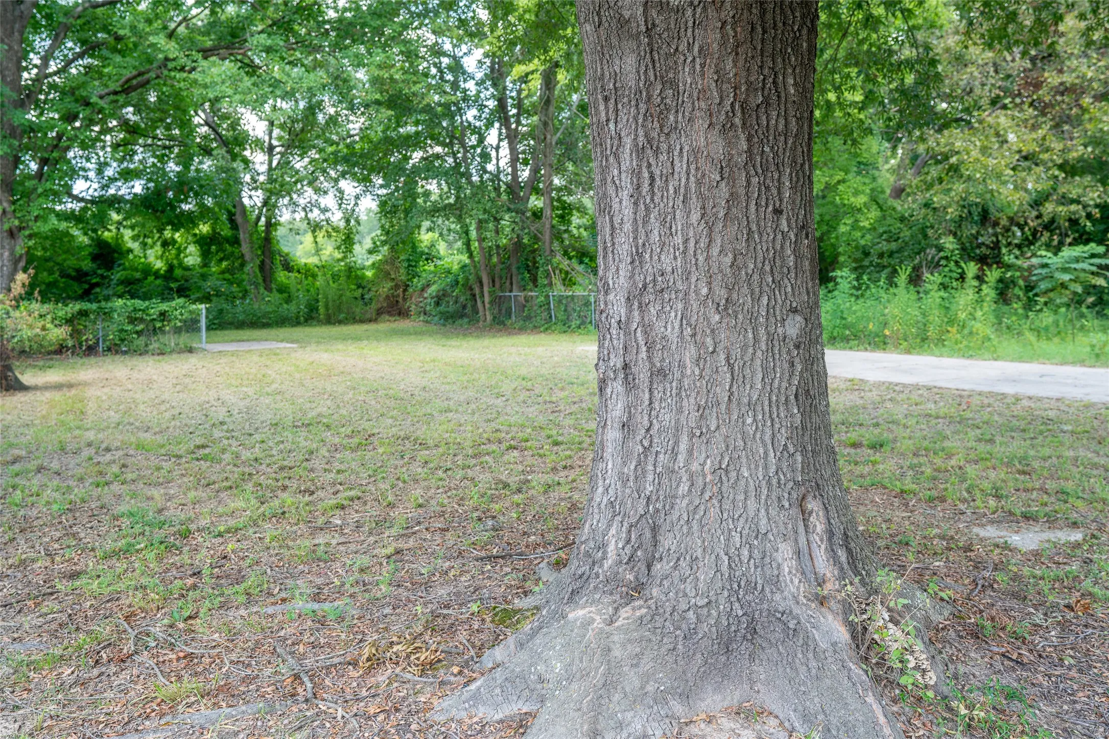Improved Land For Sale in Bowie County , 1609 Plum, Texarkana, Texas 75501, 0, 0, Garage spaces, 0 Sqft, built in 0, Price $8,000, mls#21054548, Real Estate Agent in Texarkana, Homes For Sale in Bowie county, Homes For Sale in Texarkana, Realtor in Texarkana Texas, Real Estate Brokerage Independent Realty Texas, Luminita Cordes Realtor