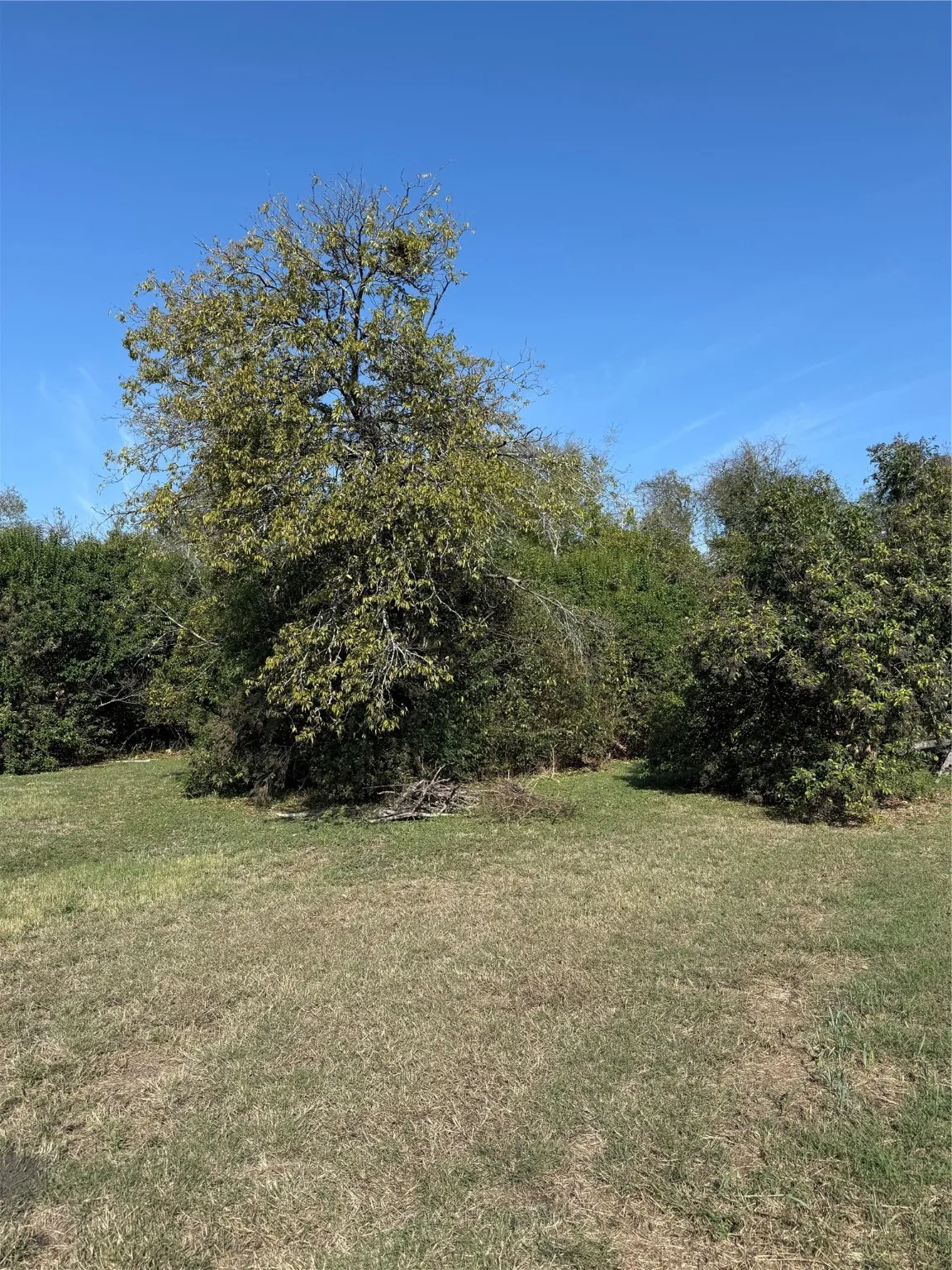 Improved Land For Sale in Bell County , 820 E Avenue Avenue E, Temple, Texas 76501, 0, 0, Garage spaces, 0 Sqft, built in 0, mls#21054611, Real Estate Agent in Temple, Homes For Sale in Bell county, Homes For Sale in Temple, Realtor in Temple Texas, Real Estate Brokerage Independent Realty Texas, Luminita Cordes Realtor