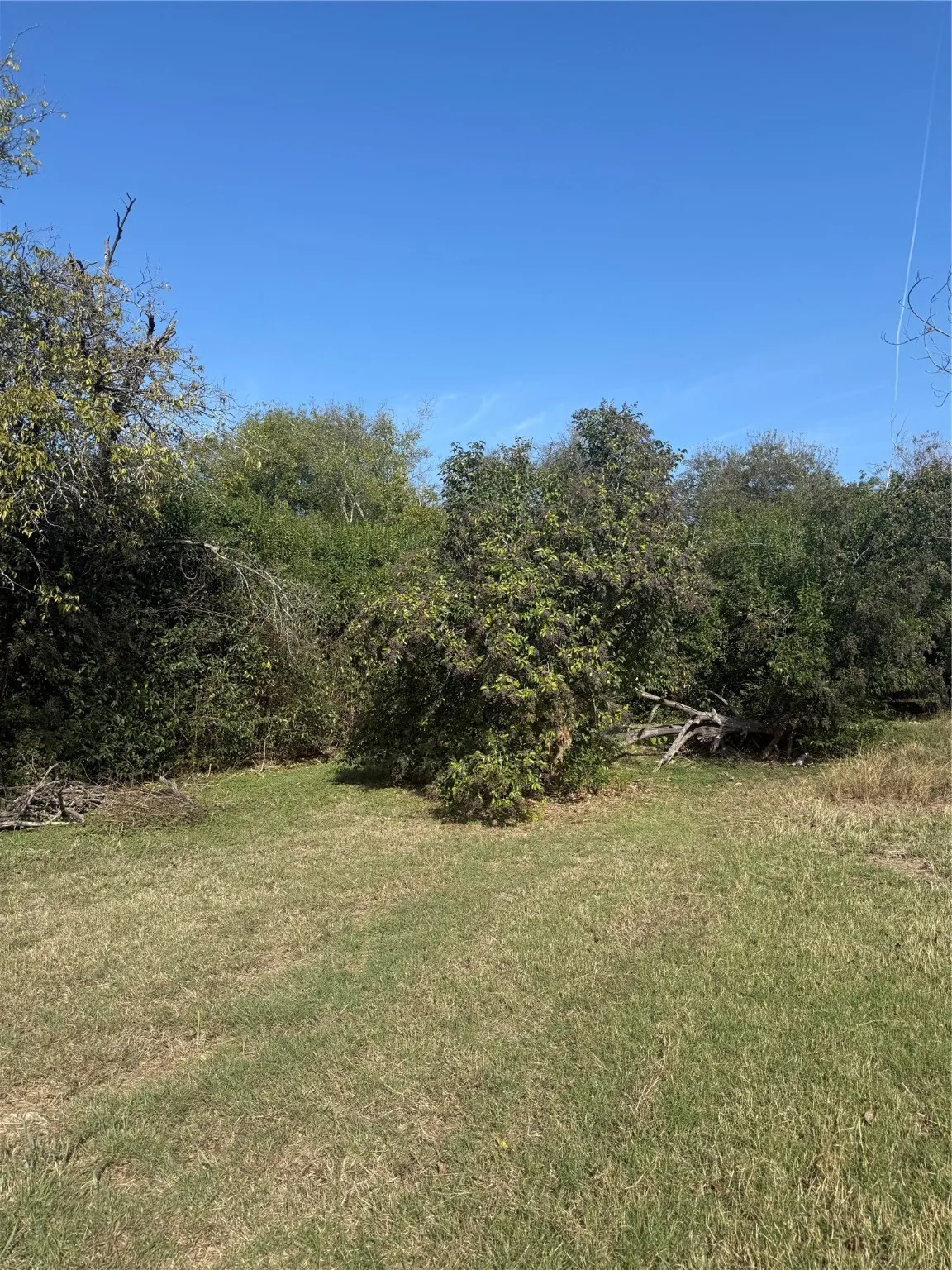 Improved Land For Sale in Bell County , 820 E Avenue Avenue E, Temple, Texas 76501, 0, 0, Garage spaces, 0 Sqft, built in 0, mls#21054611, Real Estate Agent in Temple, Homes For Sale in Bell county, Homes For Sale in Temple, Realtor in Temple Texas, Real Estate Brokerage Independent Realty Texas, Luminita Cordes Realtor